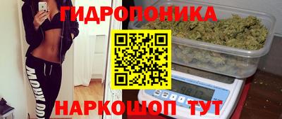 дмт Гусь-Хрустальный