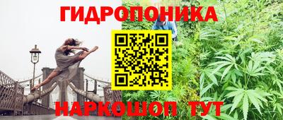 ALPHA PVP Гусев