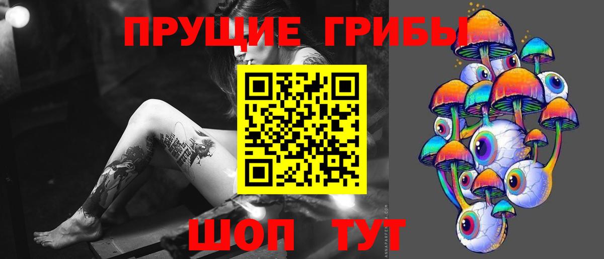 Миасс  Псилоцибиновые грибы мицелий  Вход с VPN 
